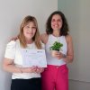 finalizacin de curso  2